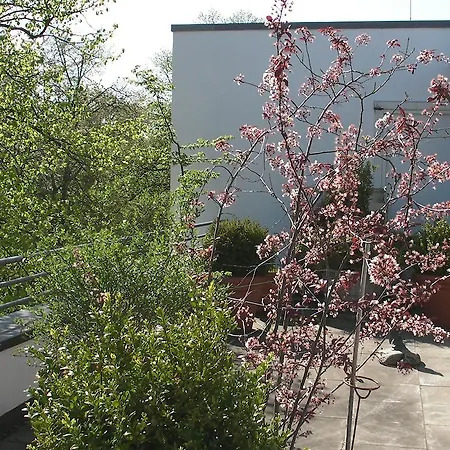 Hotell Fewo Wolter Ehemals Central Wohnen 3*