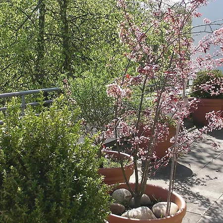 호텔 Fewo Wolter Ehemals Central Wohnen